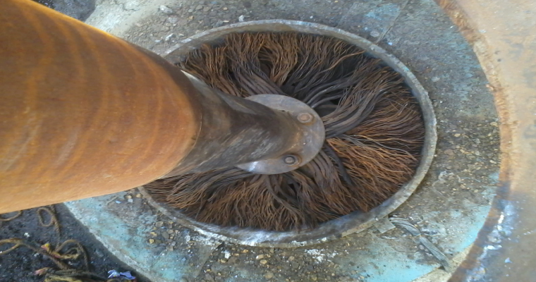 lorem ipsum dolor sit